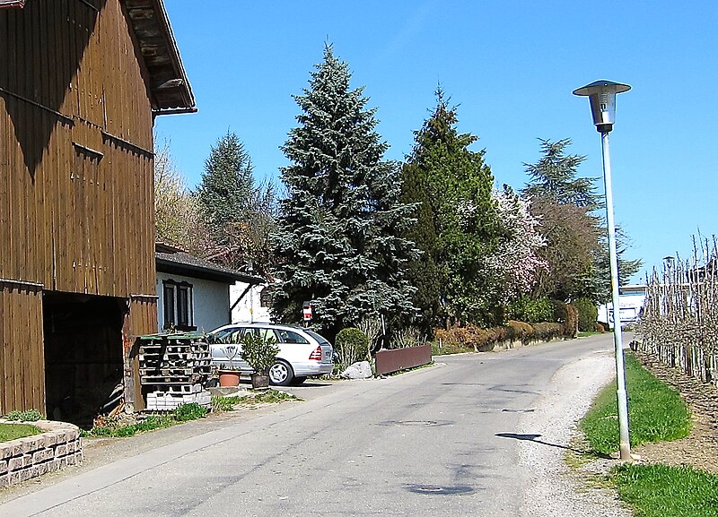 File:Streetlight shielded provisionally.JPG