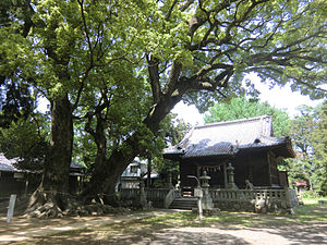 杉森八幡社拝殿（右）と夫婦楠