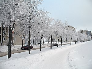 Улица в январе 2010 года