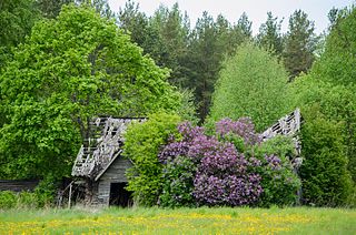 Velna Village in Võru County, Estonia