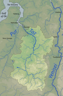 Taz River river in Russia