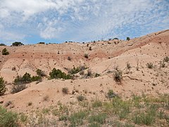 Tesuque Formation at type area.jpg