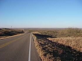 Texas State Highway 207