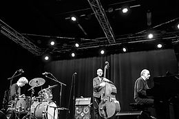 Buck, Swanton and Abrahams performing in Aarhus, Denmark, November 2015 The-necks.jpg