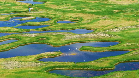 174. Ile-Balkhash State Nature Reserve author - Центрально-Азиатская программа WWF