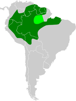 Distribución geográfica del ermitaño barbudo colipálido.