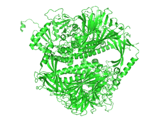 alpha-Mannosidase class of enzymes