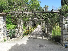 Trellis vicino alla villa Hanbury.jpg