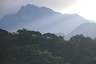 Udzungwa Mountains Mountain range in south-central Tanzania