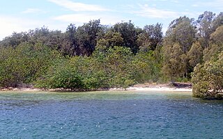 Ukerebagh Island Protected area in New South Wales, Australia