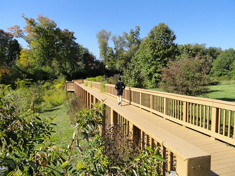 File:University of Kentucky Arboretum - DSC09338.JPG