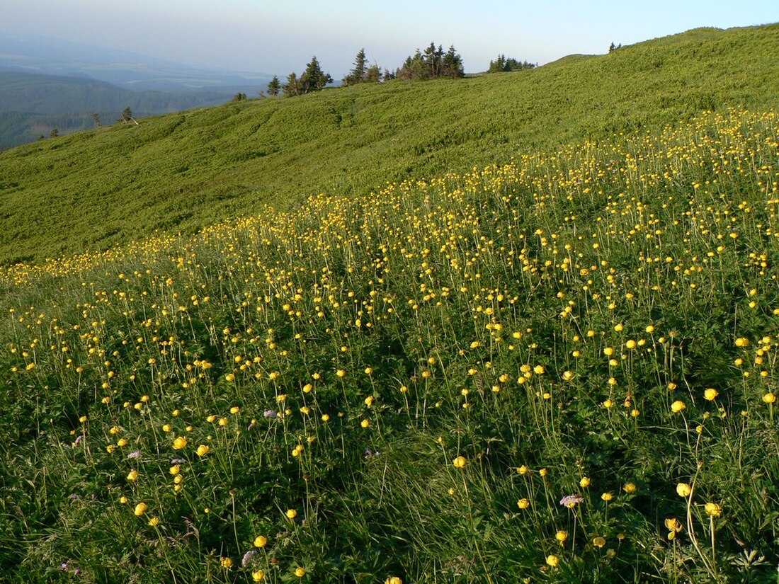 Großer Kessel