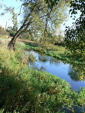 Vilkauja Vilkaviškyje