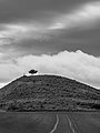 * Nomination Pine tree on a hill near Lasarte. Vitoria-Gasteiz, Basque Country, Spain --Basotxerri 19:59, 11 February 2018 (UTC) * Promotion Good quality. --Trougnouf 23:56, 11 February 2018 (UTC)