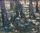 Bụi cây và thường xuân, tháng 7, 1889, Bảo tàng Van Gogh, Amsterdam (F746)