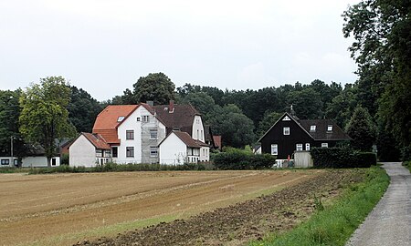 Waldkater Wennigsen 1