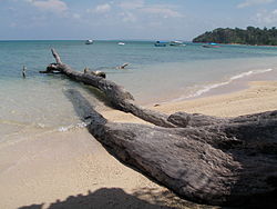 Wandoor Beach Andaman 4160169.JPG
