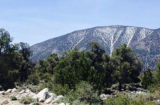 <span class="mw-page-title-main">Waucoba Mountain</span> Highest peak in the Inyo Mountains, California