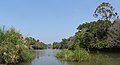 * Nomination Wayanad - Kabini River at Kuravadweep --Imehling 10:52, 4 August 2023 (UTC) * Promotion Good quality --Michielverbeek 19:49, 4 August 2023 (UTC)