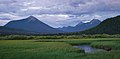 * Nomination Western moose (Alces alces andersoni) in the Bowron Slough (Bowron Lake Provincial Park, BC) --Trougnouf 22:53, 24 June 2019 (UTC) * Promotion Very nice --Moroder 07:46, 25 June 2019 (UTC)