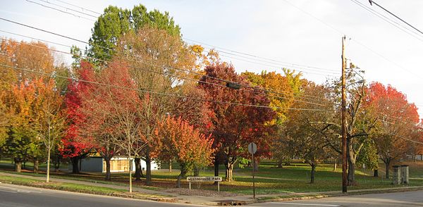 A view of Westinghouse Park from the south-east.