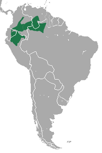 White-fronted Spider Monkey area.png