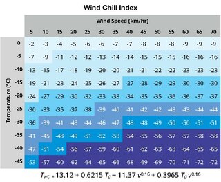 <span class="mw-page-title-main">Wind chill</span> Lowering of body temperature due to the passing flow of lower-temperature air
