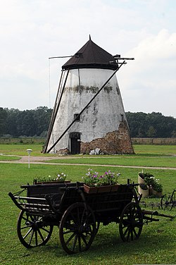 Windmill in Bačka Palanka.jpg