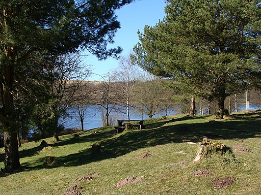 Woodland picnic area beside the Llwyn-onn reservoir - geograph.org.uk - 1744416