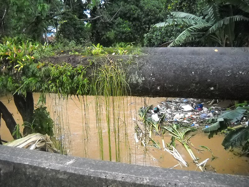 File:Xerém after the flash flood - panoramio (23).jpg