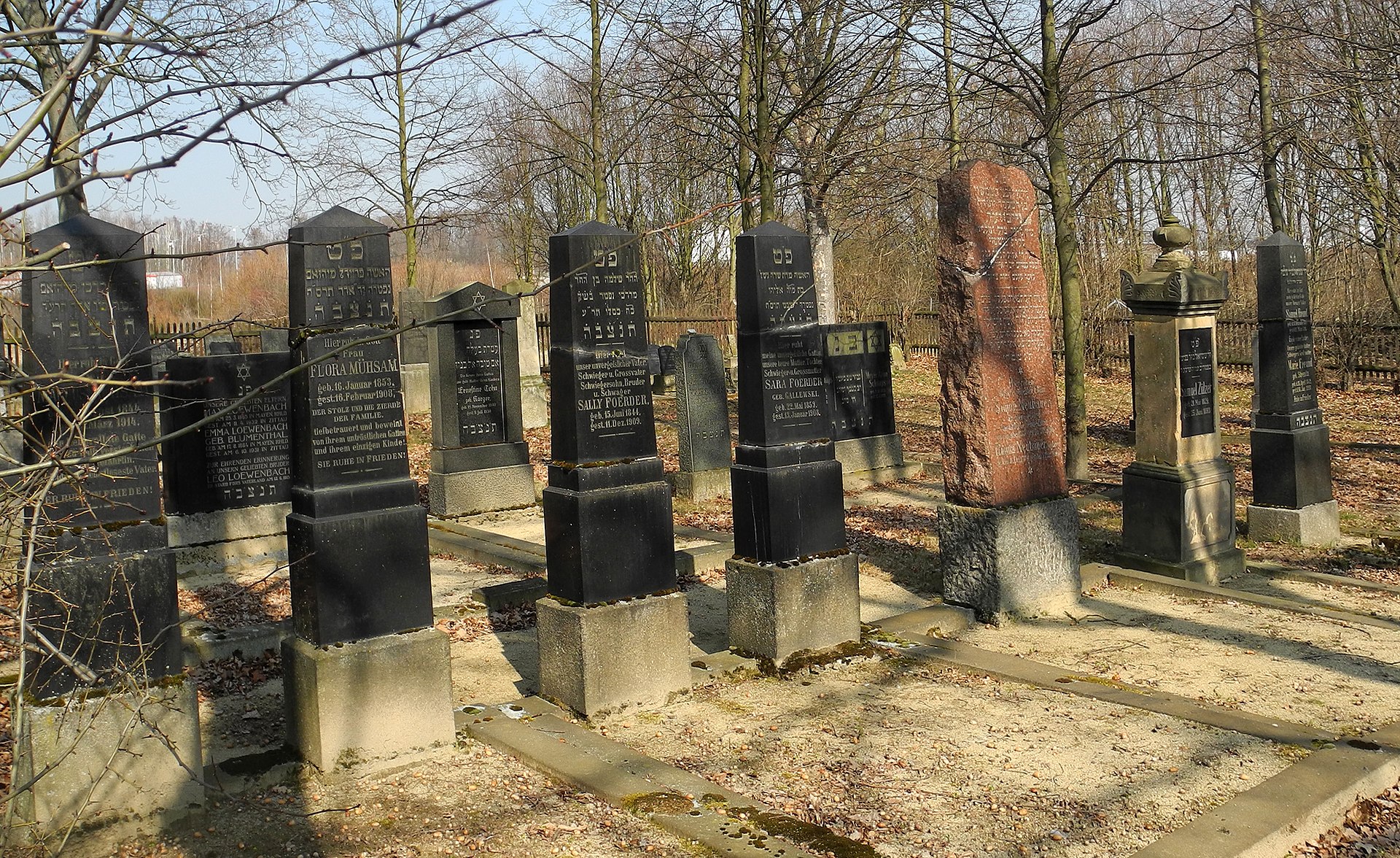 ZI-Jüdischer-Friedhof-13.jpg