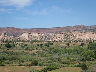 <span class="mw-page-title-main">Zia Formation</span> Rock formation in New Mexico