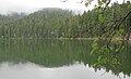 Čeština: Čertovo jezero, které je součástí národní přírodní rezervace Černé a Čertovo jezero, nedaleko Železné Rudy v okrese Klatovy English: Lake "Čertovo jezero" - in national nature reserve Černé a Čertovo jezero near Železná Ruda in Klatovy District