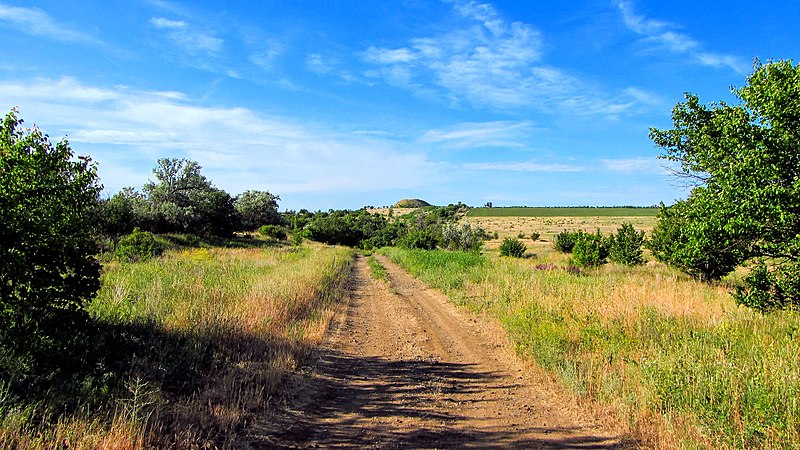 File:Ландшафтний заказник "Богданівський".jpg