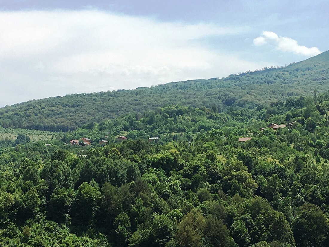 Drenovo (Makedonszki Brod)