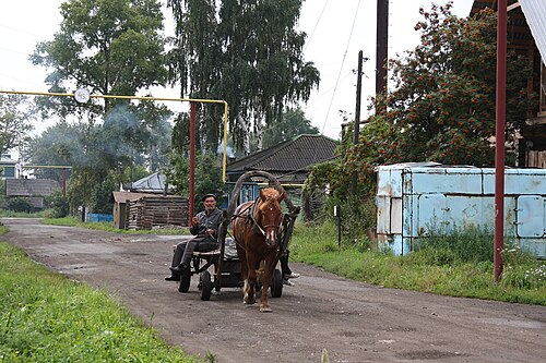 Погода в болотном на 10. Болотнинский район. Село Болотное. Деревня Сибиряк Болотнинский район Новосибирская обл.. Деревня Сибиряк Болотнинского района.