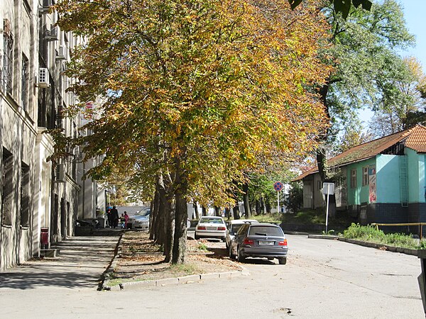 Гаппо баева владикавказ. Улица Чермена Баева Владикавказ. Улица Хетагурова Владикавказ. Соляный переулок Владикавказ. Улица Терская Владикавказ.