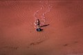 سرخی دریاچه ارومیه-۱۳.jpg