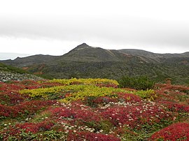 烏 帽子 岳 ・ 北側 か ら （Mt. Эбоши с северной стороны） - Panoramio.jpg