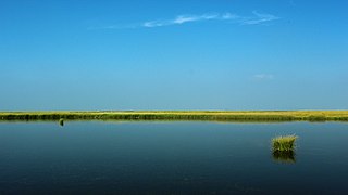 若尔盖花湖-错热洼坚Cuorewajian Lake - panoramio (6).jpg