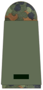 Schütze, Kanonier, Jäger Unteroffizieranwärter (UA) NCO-candidate rank Army (Heer) combat uniform