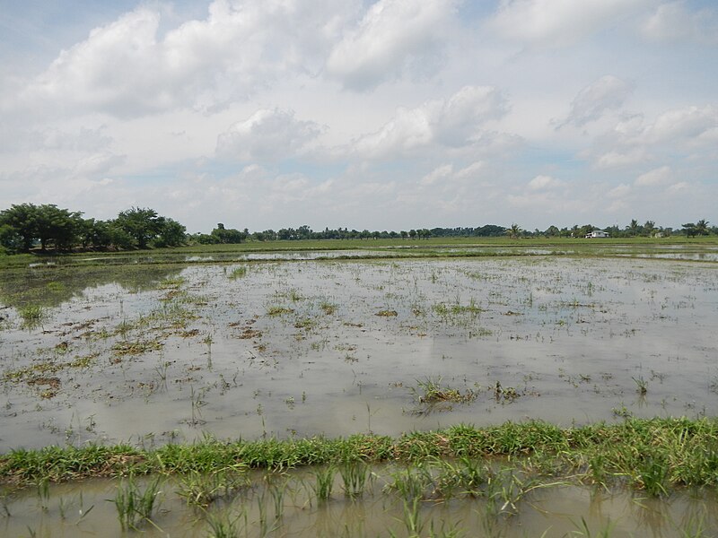 File:0185JfSan Joseph Center Fields Roads Sapsap Santa Rosa Ecijafvf 10.JPG