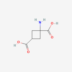 1-Aminociklobutan-1,3-dikarboksilna kiselina