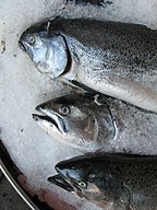 English: Salmon for sale Magyar: Eladó lazac