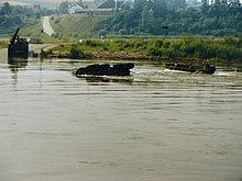 Verunfallter Luchs in der Donau