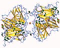 Miniatura para L-ascorbato oxidasa