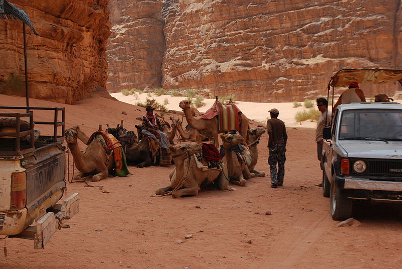 Camels in Wadi Rum. From Top 10 Things to Eat in Jordan