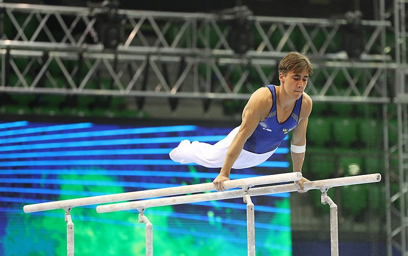 File:2019-06-27 1st FIG Artistic Gymnastics JWCH Men's All-around competition Subdivision 3 Parallel bars (Martin Rulsch) 023.jpg