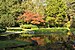 2020 Japanese Garden in Moscow - Autumn Colors 01.jpg