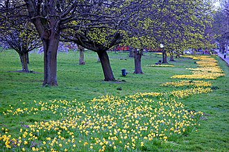 Rosehill Park East 21 March Rosehill (2).jpg